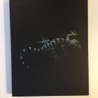 Trauma (Blu-ray) Vinegar Syndrome (1993) Slipcase (UUSI) - pikkukuva 2
