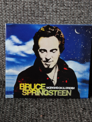 Bruce Springsteen Working on a dream