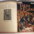 Upea TIEDE JA ELÄMÄ -sidossarja 1919-1924 - pikkukuva 3