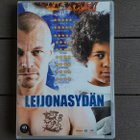 DVD: Leijonasydän (Peter Franzén, Laura Birn 2013) - pikkukuva 1
