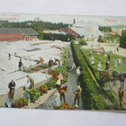 Forssa Forssan puutarha - 1907 - pikkukuva 1