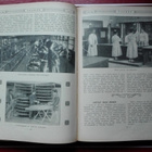 Veckan 1913 (årg. i 2 band) Läsning för ung och gammal - pikkukuva 5