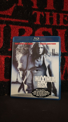 Maximum Risk