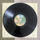 NEW BIRTH: Love Potion (LP) 1976 - pikkukuva 4