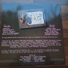 BTO - ROCK N' ROLL NIGHTS . LP - pikkukuva 2