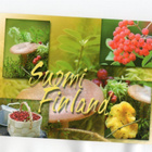 "SIENET, MARJAT"-KORTTI / (M.Roisko) - pikkukuva 1