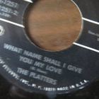 The Platters: Washed Ashore/What Name... vinyylisingle - pikkukuva 2
