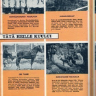 Pellervo n:o 1 1968 Tätä heille kuuluu. Uutta meijeriteollis - pikkukuva 5