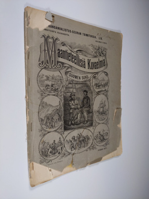 Julius Krohn : Maantieteellisiä kuvaelmia XIV : Suomen suku