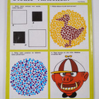 Meidän oma Pahkasika - pikkukuva 2