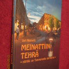 Meinattiin tehrä - näitäki on Tampereelle ehrotettu - pikkukuva 1