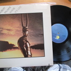 ROBERT PALMER maybe it`s live ILPS 9665 ( LP v 1982 !!! - pikkukuva 1