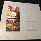 Victoria Williams Swing The statue Lp Uk Rough Trade 1990 - pikkukuva 2