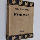 John Galsworthy : Pyhimys - pikkukuva 1