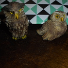 2 x pöllö pienet figuurit - pikkukuva 2