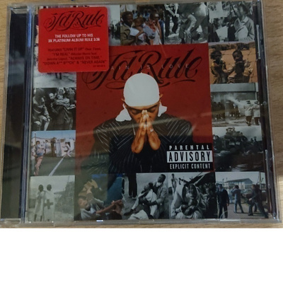 Ja Rule - Pain Is Love (gangsta rap)