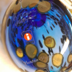 oiva toikka sinkki vantaan lintu - pikkukuva 2