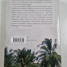 Riitta Vartti : Taifuunivuosi - pikkukuva 2