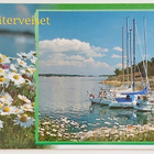 "Kesäterveiset"-KULKEMATON POSTIKORTTI - pikkukuva 1