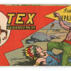 TEX n:o 24 SALAPERÄINEN EPÄJUMALANKUVA 1.vuosik. - pikkukuva 1