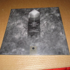 Nader Sadek LP In The Flesh v.2021 UUSI - pikkukuva 2