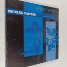 Jerry Scott ym. : Briefcase Full of Baby Blues - pikkukuva 1
