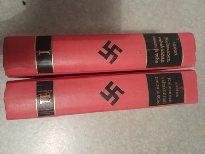 Kolmannen valtakunnan nousu ja tuho