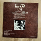 Elvis Scotty And Bill The first year - pikkukuva 2