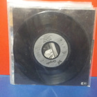 JETHRO TULL - PUSSY WILLOW / BEASTIE EX/EX- GER -82 7" - pikkukuva 2