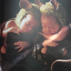 Puutarhassa kasvaa ihme - Anne Geddes - 1.painos - pikkukuva 5