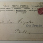 TTH: Erilaisia tipuja kuoriutuu, vanha kevätlintupk, p. 1907 - pikkukuva 2