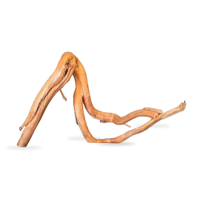 Uniikki akvaariojuurakko 43 cm | 152638