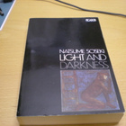 Natsume Soseki: Light and Darkness - pikkukuva 1
