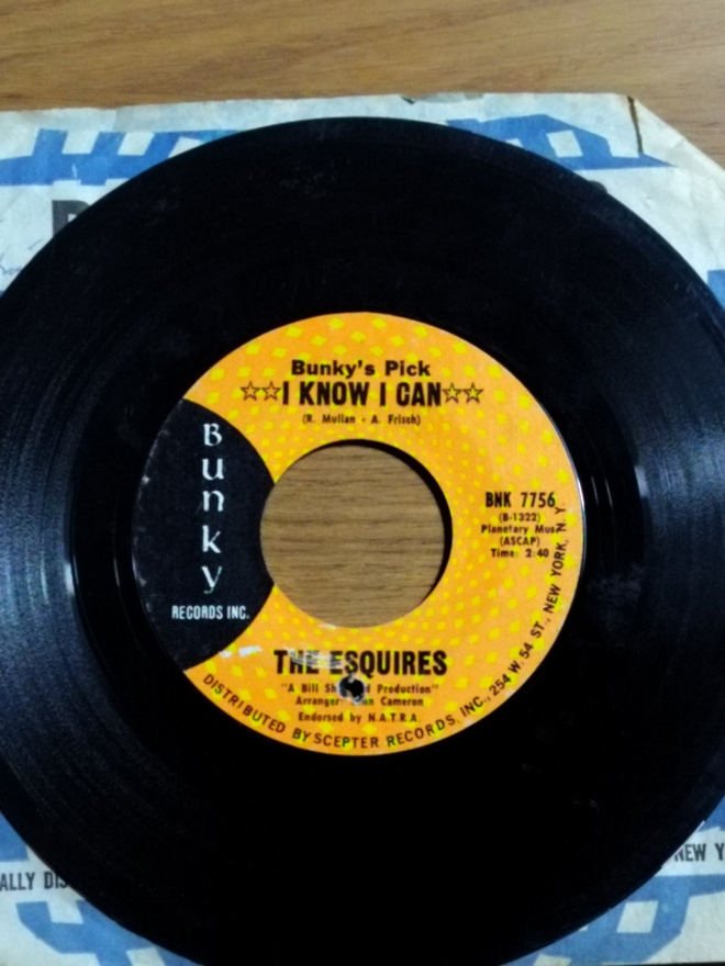 The Esquiers-I know I can/How could it be, 7"LP