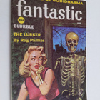Fantastic - vol 8 June 1959 : The fife of bodidharma - pikkukuva 1