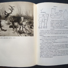 Yrjö Kokko: Sudenhampainen kaulanauha (sid. 1p. Wsoy 1951) - pikkukuva 4