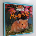 Kate Petty : Hamsterit - pikkukuva 1