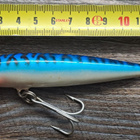 Rapala magnum! - pikkukuva 1