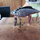 Berkley Frenzy FR14 6cm Räminällä - pikkukuva 2