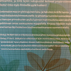 LUONNON MONIMUOTOISUUDEN KÄSIKIRJA - pikkukuva 2