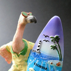 Surfari Flamingo, Florida - pikkukuva 4