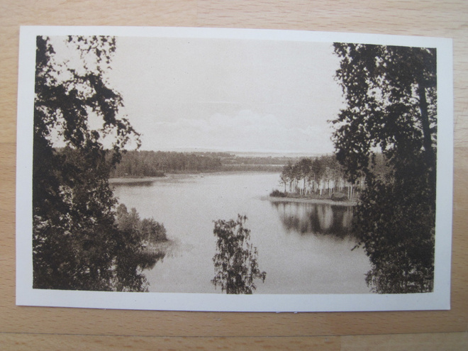 VANHA Postikortti Punkaharju 1920-luku