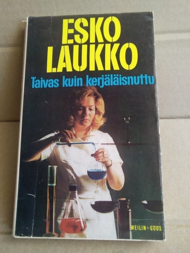 Esko Laukko: Taivas kuin kerjäläisnuttu