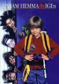 Ensam Hemma Igen - Yksin Kotona 3 - DVD