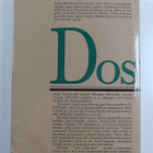 F. M. Dostojevski : Riivaajat 2 - pikkukuva 2