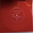 The Ozark Mountain Daredevils : Establish Yourself FLEXI !! - pikkukuva 1