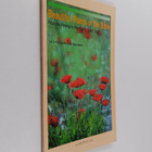 David Darom : Beautiful Plants of the Bible from the Hyss... - pikkukuva 1