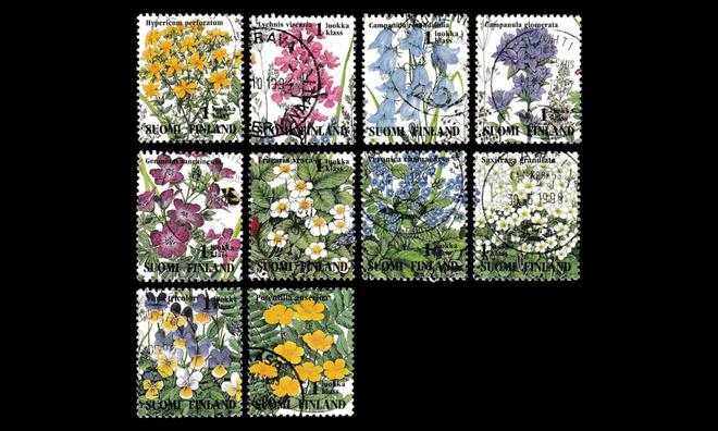 1251-60 o Ketokukkia (1994)