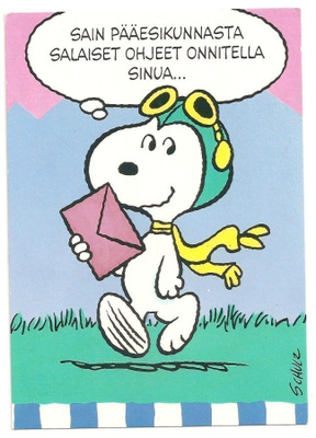 Schulz : " Sain pääesikunnasta salaiset ohjeet ....