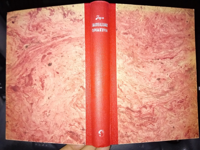 James Joyce : Taiteilijan omakuva ( SIS POSTIKULU  )